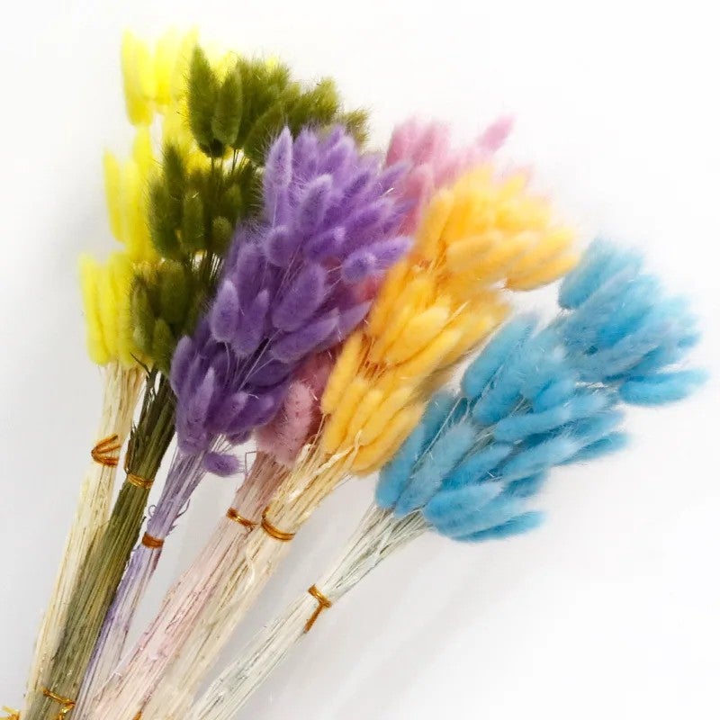 Bluejw 60pcs Natural Dried Bunny Tail Grass Bouquet - Colorful Real Dried Flowers Arrangement with Artificial Rabbit Tail - Eternal Dried Plants for Home Decor Wedding Floral Arrangements - Image 4