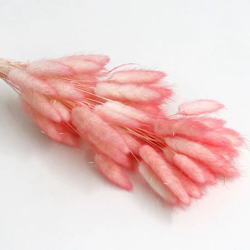 Bluejw 60pcs Natural Dried Bunny Tail Grass Bouquet - Colorful Real Dried Flowers Arrangement with Artificial Rabbit Tail - Eternal Dried Plants for Home Decor Wedding Floral Arrangements - Image 1