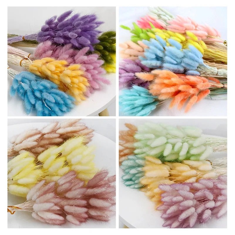 Bluejw 60pcs Natural Dried Bunny Tail Grass Bouquet - Colorful Real Dried Flowers Arrangement with Artificial Rabbit Tail - Eternal Dried Plants for Home Decor Wedding Floral Arrangements - Image 3