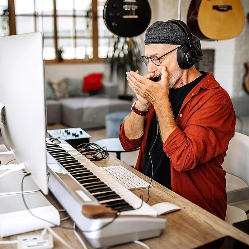 MITVIK هارمونيكا فم في مفتاح دو – 10 ثقوب 20 نغمة هارمونيكا بلوز مع نواة من النحاس التيتانيوم، سهلة العزف للأطفال والمبتدئين، تصميم عتيق، أسود - Image 4