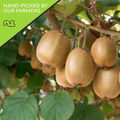 NUT CRAVINGS - Sun Dried Kiwi Slices, Lightly Sweetened (32oz, 2 LB) Bulk Dry Fruits Packed Fresh in Resealable Bag - Sweet Healthy Snack, Naturally Grown, Vegan, Kosher - Image 3