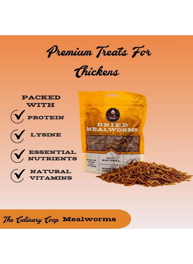 فلكرز مكافآت الدجاج الفاخرة من Fluker's Culinary Coop، ديدان الطحين، 3.5 أونصة، ديدان عالية البروتين، مكافأة مغذية - Image 1