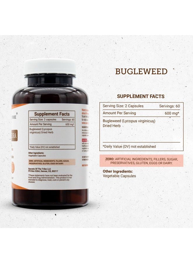 Secrets of the Tribe Bugleweed 120 Capsules, 600 mg, Bugleweed (Lycopus Virginicus) Dried Herb (120 Capsules) - Image 3