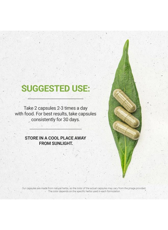 Secrets of the Tribe Bugleweed 120 Capsules, 600 mg, Bugleweed (Lycopus Virginicus) Dried Herb (120 Capsules) - Image 2