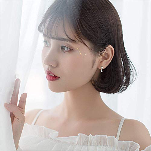 Dtja CZ Dangle Drop Huggie Hoop Earrings for Women 925 Sterling Silver Charms Tiny Rhinestone Daisy Flower Hinged Small Cartilage Stud Tragus Dainty Fashion Jewelry Hypoallergenic (Silver) - Image 3