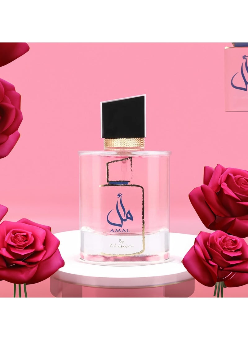 Amal By Ard Al Zaafaran EDP 100 ml - pzsku/ZC1A64D52A697067779F1Z/45/_/1717346921/5447765e-531f-4491-9c6a-8260996f834d