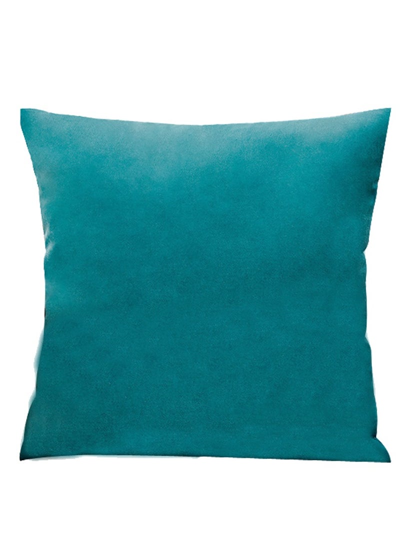 2PCS Soft Velvet Square Decorative Pillow Cover  - Image 2