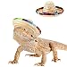 SEZDEKI 2 Pack Bearded Dragon Sombrero Hats Lizard Cinco De Mayo Straw Hat with Adjustable Chin Strap Small Pet Mexican Costume Accessories for Reptile HamsterLeopard Gecko Ferret Guinea Pig 2 Pack - Image 1