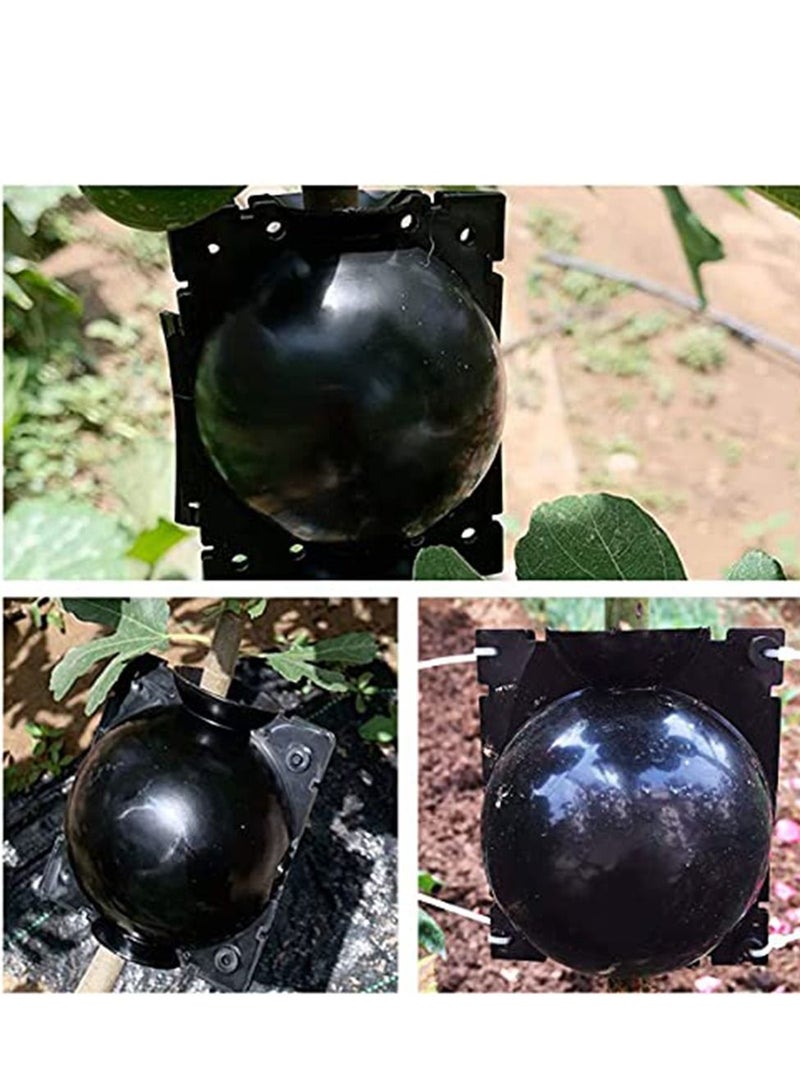 SYOSI Plant Root Growing Box Grafting Device 6Pcs, High Pressure Propagation Ball Box, Assisted Cutting Plants Rooting Growing Breeding for Reproduction Equipment - Image 3