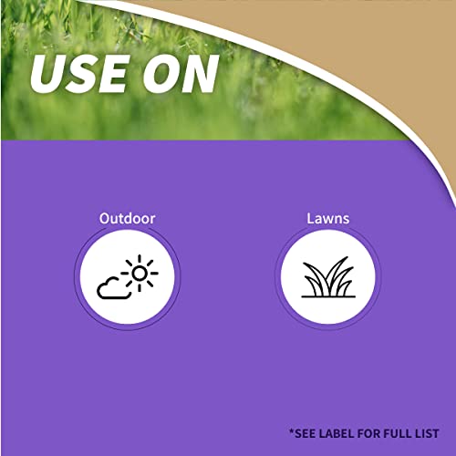 Bonide Captain Jack's Lawnweed Brew, 32 oz Concentrate, Fast-Acting Formula Controls Weeds, Moss, Algae, Lichens & Disease - Image 2