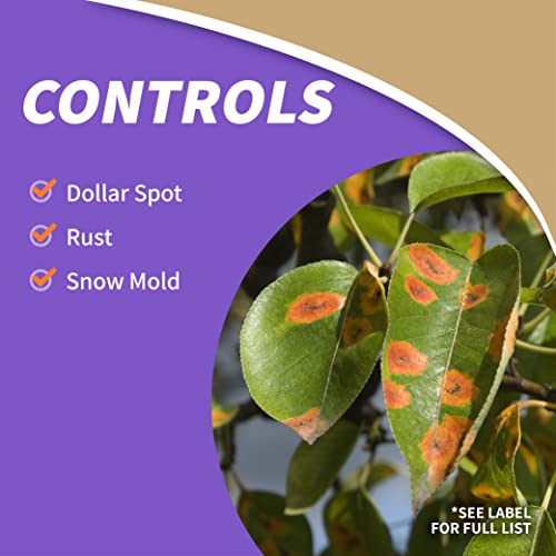 Bonide Captain Jack's Lawnweed Brew, 32 oz Concentrate, Fast-Acting Formula Controls Weeds, Moss, Algae, Lichens & Disease - Image 3