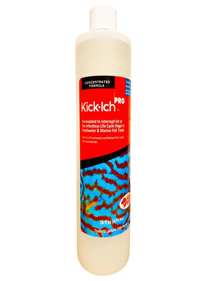 Ruby Reef Kick-ICH Pro 8 oz - Image 4