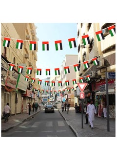 آنا 25 مترًا في الإمارات العربية المتحدة - علم بوليستر زخرفي في الهواء الطلق ، متين ومشرق ، مناسب للاحتفالات  - Image 2