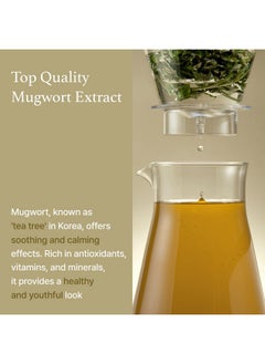 I'M FROM [I'm From] Mugwort Essence 5.4 Fl Oz | 100% Vegan Mugwort Extract - Soothe Sensitive and Irritated Skin, Redness Relief, Refreshing, Korean Hydrating toner | All Skin Types, PETA approved  - Image 3