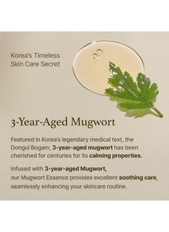 I'M FROM [I'm From] Mugwort Essence 5.4 Fl Oz | 100% Vegan Mugwort Extract - Soothe Sensitive and Irritated Skin, Redness Relief, Refreshing, Korean Hydrating toner | All Skin Types, PETA approved  - Image 5