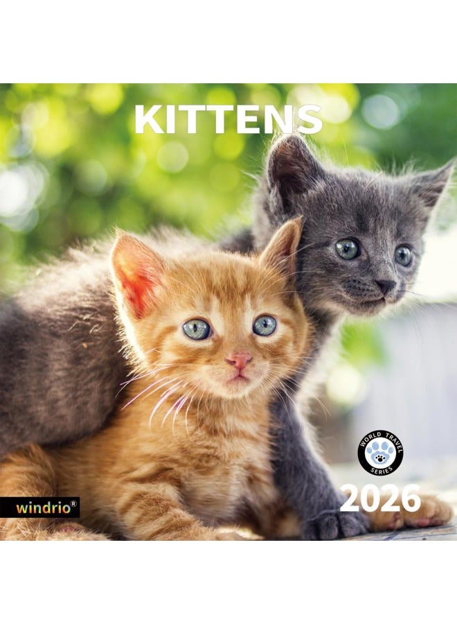 windrio 2026 Wall Calendar,Calendar 2026, November 2025 - December 2026, Wall Calendar Kittens, 12" x 24" Opened,Full Page Months Thick & Sturdy Paper for Gift Perfect Calendar Organizing & Planning - Image 1