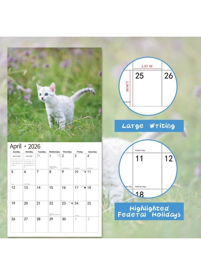 windrio 2026 Wall Calendar,Calendar 2026, November 2025 - December 2026, Wall Calendar Kittens, 12" x 24" Opened,Full Page Months Thick & Sturdy Paper for Gift Perfect Calendar Organizing & Planning - Image 3