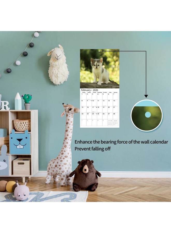 windrio 2026 Wall Calendar,Calendar 2026, November 2025 - December 2026, Wall Calendar Kittens, 12" x 24" Opened,Full Page Months Thick & Sturdy Paper for Gift Perfect Calendar Organizing & Planning - Image 4