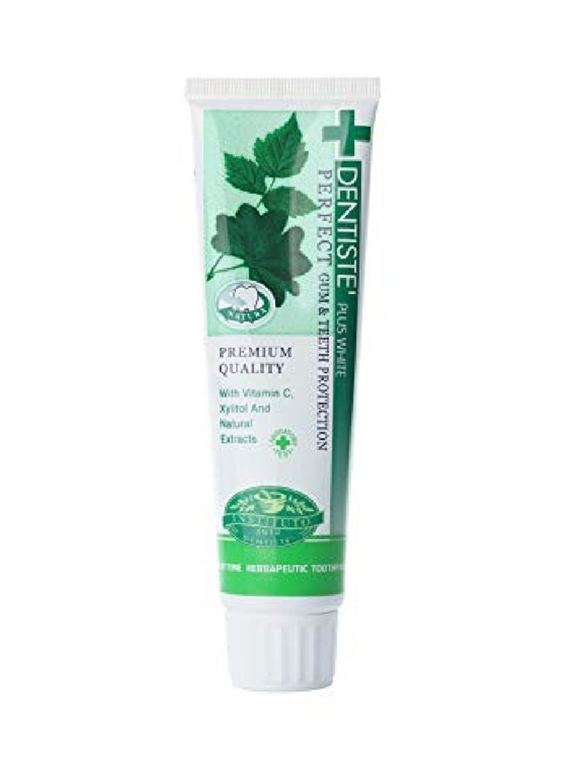 Dentiste Nightime Sensitive Tooth Paste 100Gm