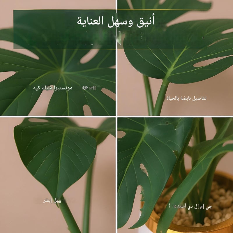 Ceramic Planter - A refined white ceramic planter housing lifelike monstera, tropical leaves, and easy maintenance, finished with pebble filler for stylish modern accents - Image 4