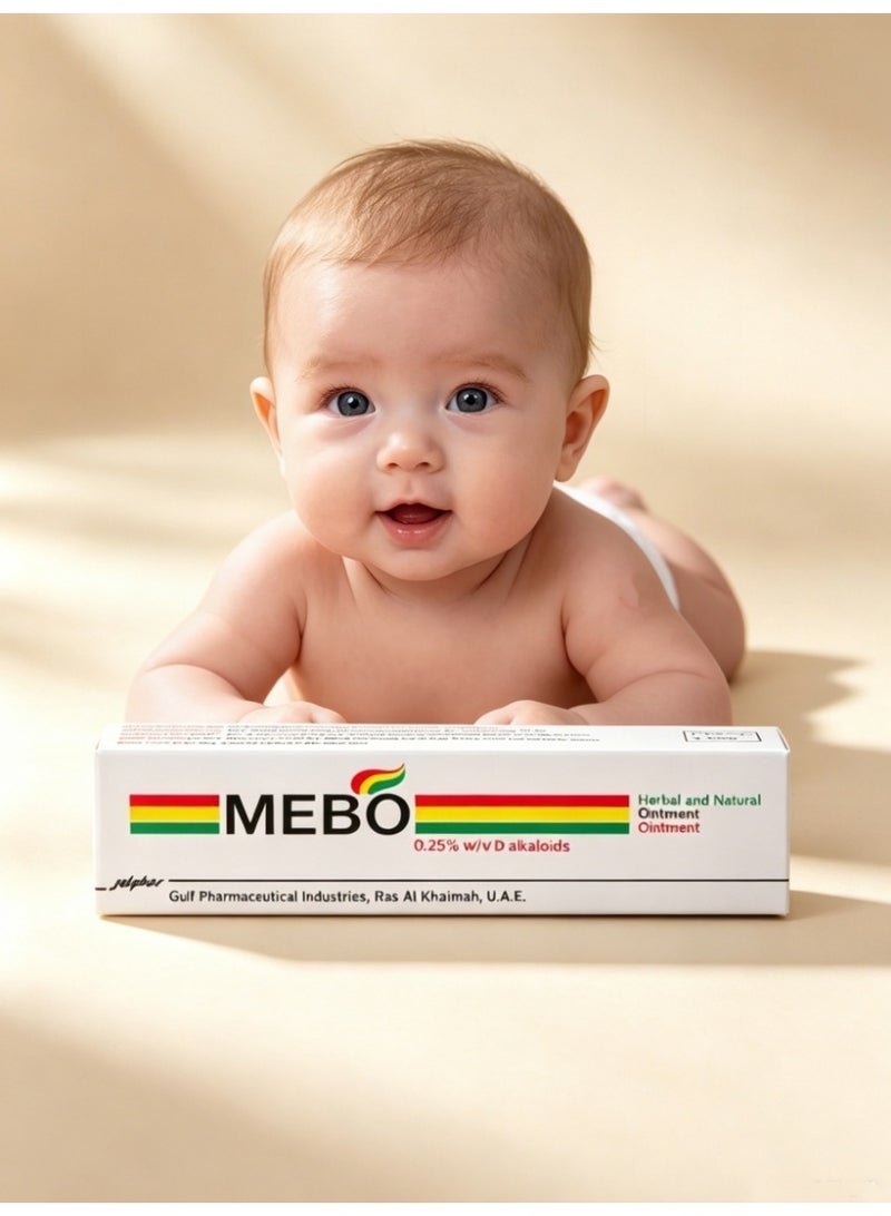 Julphar Mebo 0.25% Ointment 15g - Image 1