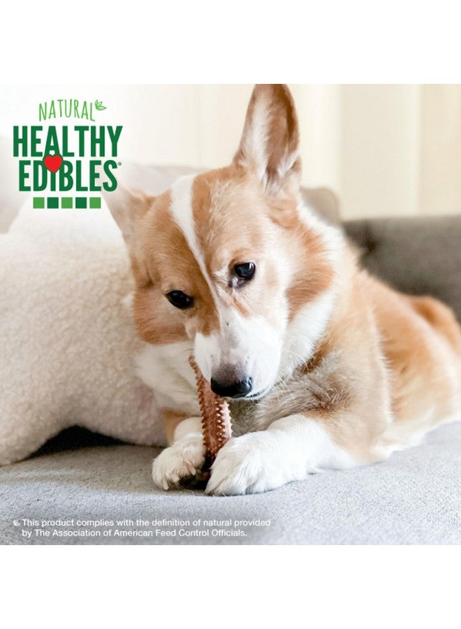 Nylabone Healthy Edibles Natural Dog Chews Long Lasting Meaty Center Beef Flavor Treats for Dogs, Small (12 Count) - Image 3