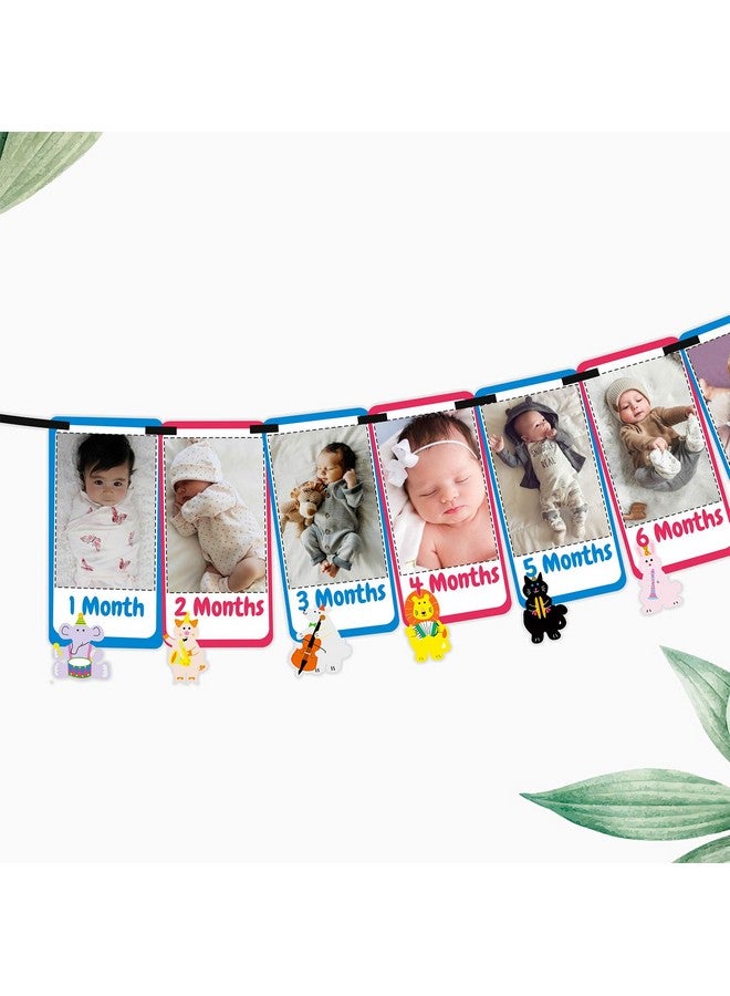 SYGA 1 to 12 Month Music Theme Animal Banner with Front Side Photo Space & Sweet Memory Writing Space Back Side of Banner - Image 1