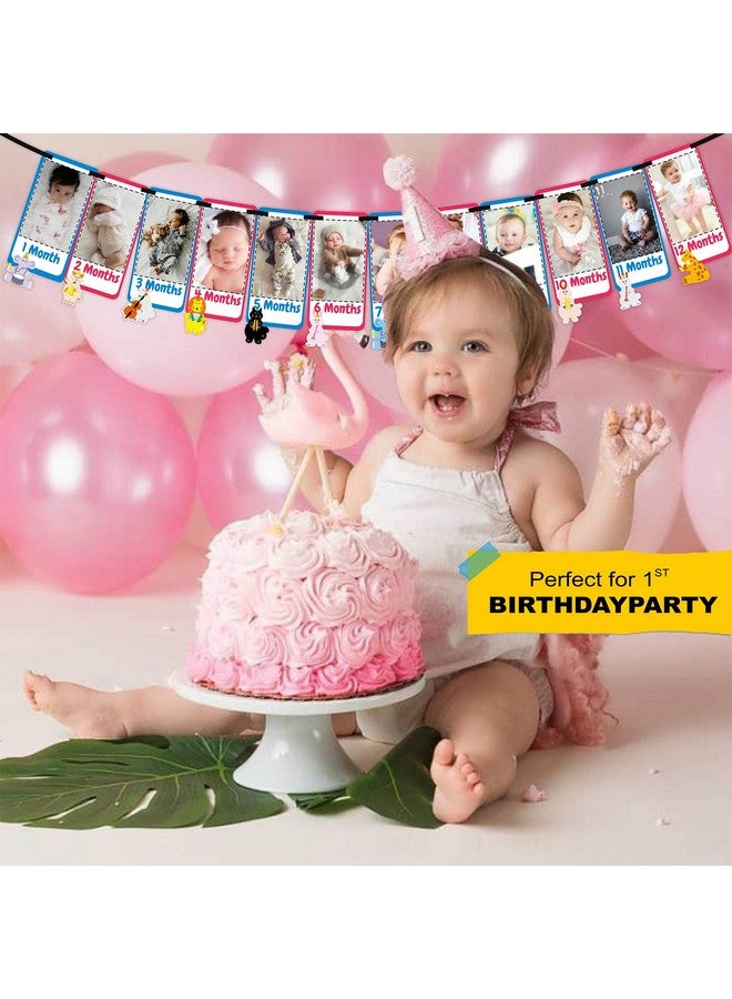 SYGA 1 to 12 Month Music Theme Animal Banner with Front Side Photo Space & Sweet Memory Writing Space Back Side of Banner - Image 2