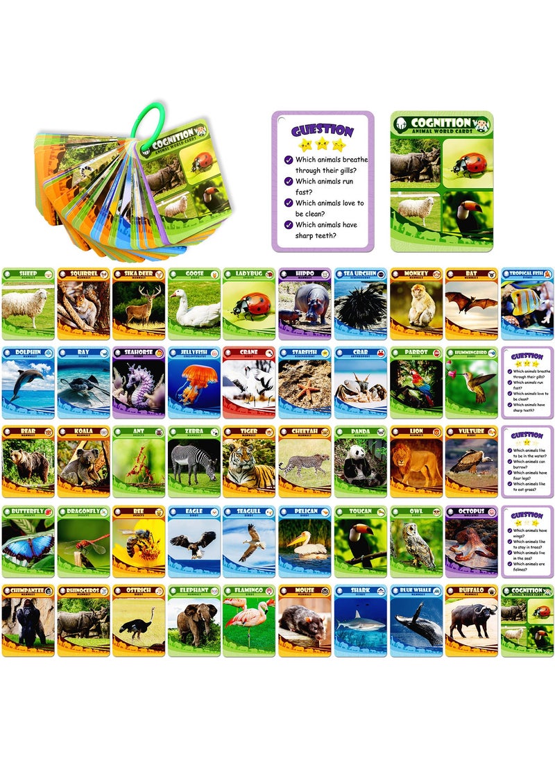 Sight Words Flash Cards with Real Pictures,Dolch Sight Words for Preschool, Kindergarten,1st, 2nd & 3rd Kids and Toddler.Homeschool,Learn to Read,Phonics Learning,135 Pieces  - Image 3