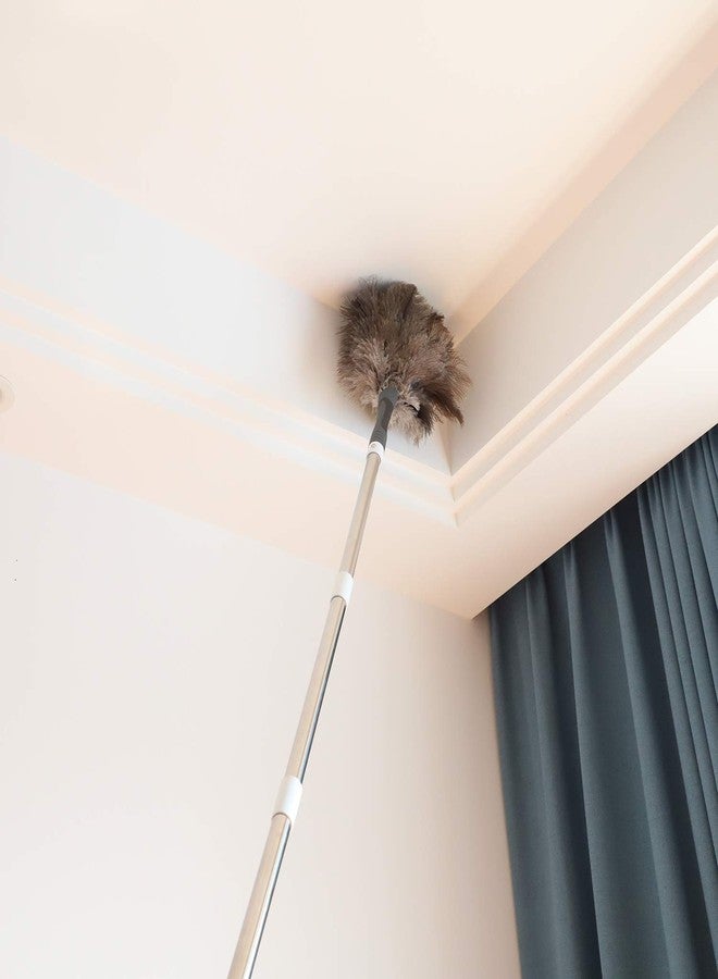 Midoneat Gray Ostrich Feather Duster with 71Inch Pole,Extendable Microfiber Duster for Home Cleaning - Image 5