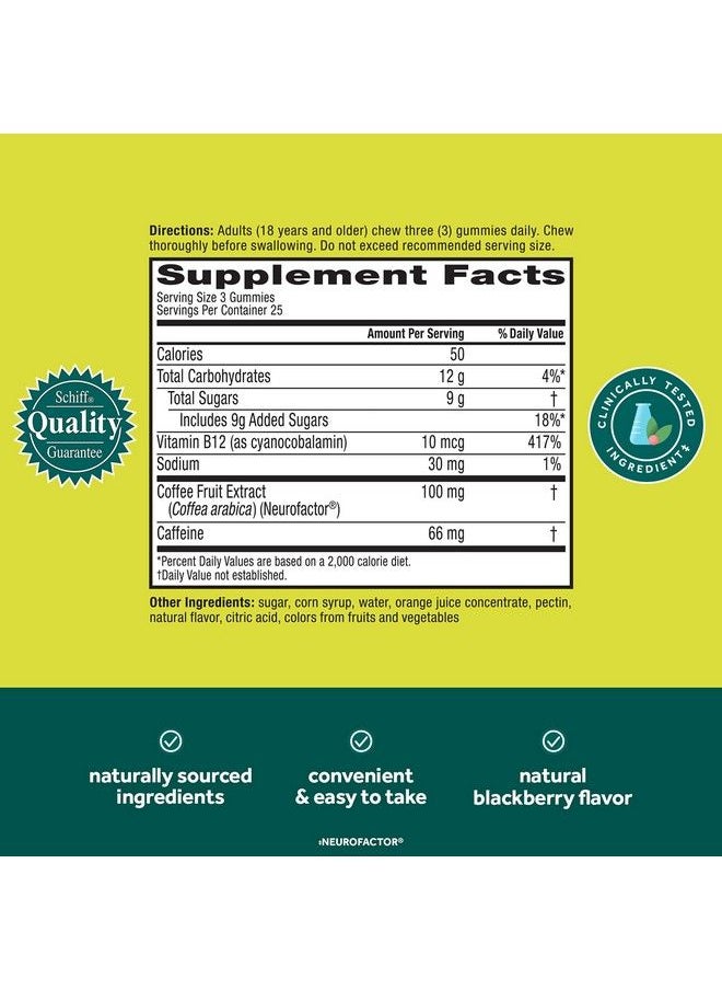 NEURIVA - Brain + Energy Gummies Nootropic Brain Supplements For Focus And Concentration With Neurofactor Vitamin B12 & Caffeine For An Energy Boost* 75Ct Natural Blackberry - Image 1
