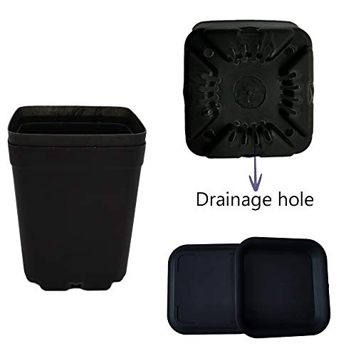 OJYUDD 24 Pack 3 Inch Black Nursery Pot Flower Pots Square Plastic Plant Pot Plastic Starter Pots with Saucer Basket Indoor Outdoor for Your Room,Garden Office and Balcony Decor - Image 3