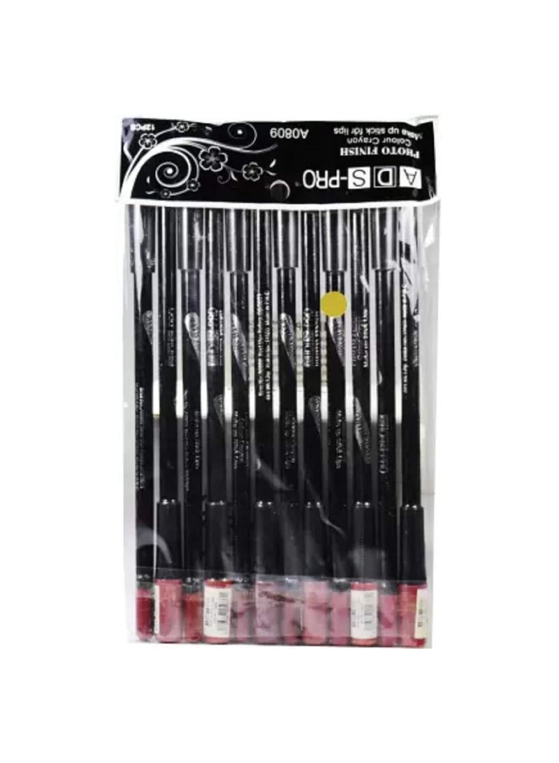 ADS Finish Colour Makeup Lipstick Lip Liner Matte Finish Multicolor 12 Piece - Image 2