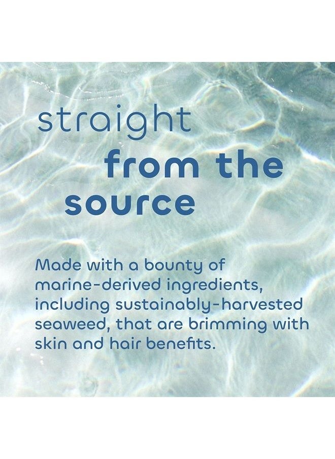The Seaweed Bath Co. - Seaweed Bath Co. Exfoliate Detox Body Soap, 3.75 Ounce, Sustainably Harvested Seaweed, Charcoal (Packaging May Vary) - Image 1