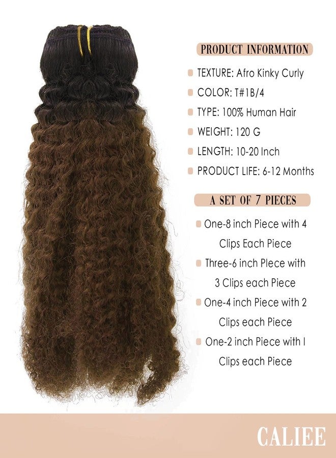 Caliee 18 Inch African Afro Kinky Curly Clip ins Hair Extensions Double Weft Top Grade Brazilian Virgin Hair Two Tone Ombre Brown 120 Gram American - Image 4
