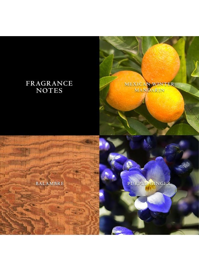 John Varvatos عطر للرجال، ماء تواليت آرتيزان، بخاخ EDT، رائحة خشبية حمضية مع نغمات من اليوسفي الشتوي المكسيكي، الزنجبيل الأرجواني وبلامبري، 4.2 أونصة سائلة - Image 2