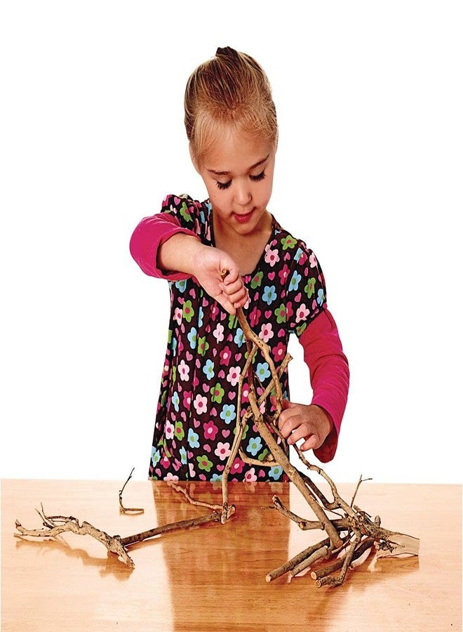Excellerations Branches, Excellerations Loose Parts, Branches for Sorting and Counting, upcycled Materials, Educational Toys for Kids, Natural Branch cuttings, Sticks - Image 4