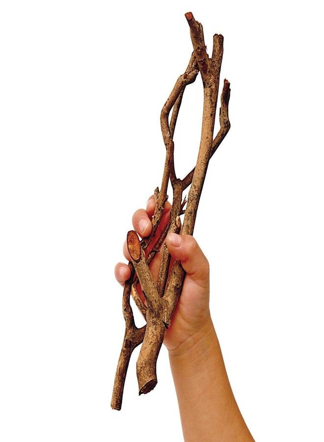 Excellerations Branches, Excellerations Loose Parts, Branches for Sorting and Counting, upcycled Materials, Educational Toys for Kids, Natural Branch cuttings, Sticks - Image 3