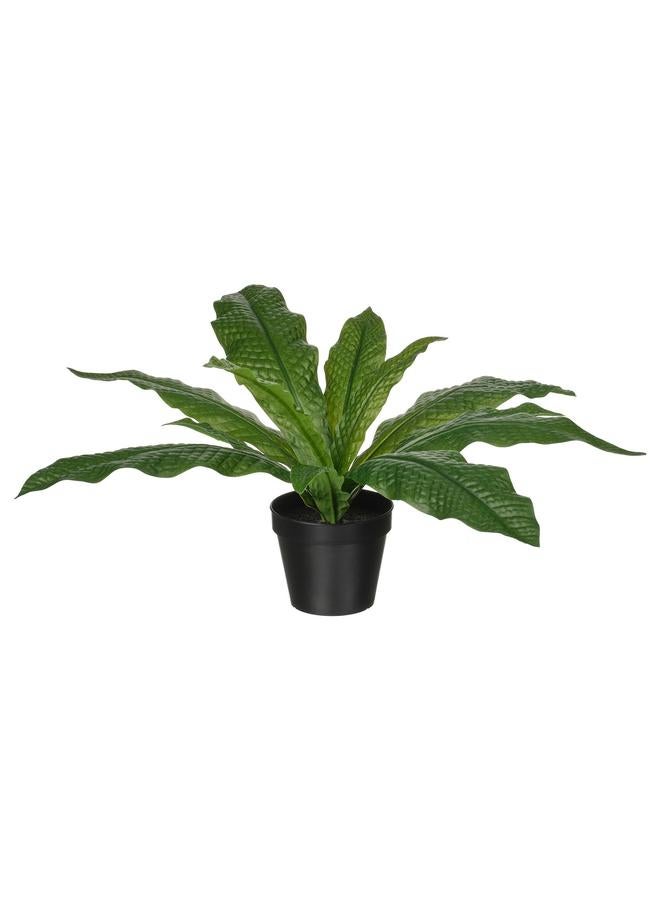 erorex Artificial Potted Plant, In/Outdoor Crocodile Fern, 12 Cm - Image 1