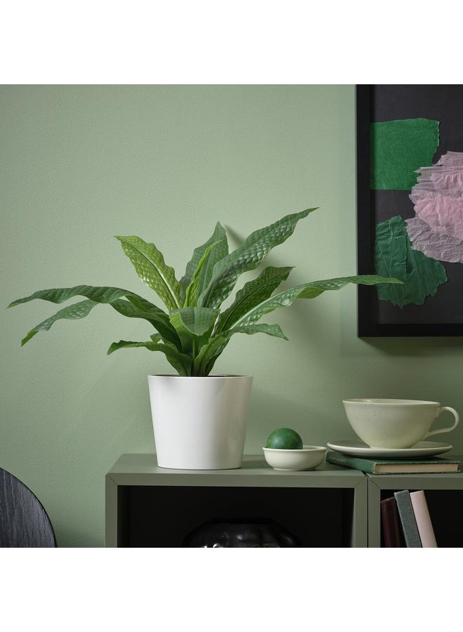 erorex Artificial Potted Plant, In/Outdoor Crocodile Fern, 12 Cm - Image 2