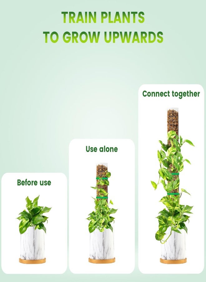EOX 4 Pcs 15 Inch Plastic Moss Pole for Plants Monstera Set with 5.3oz/150g Sphagnum Moss, Plant Poles for Climbing Plants, Plant Support for Indoor Plants, Garden Ties - Image 3