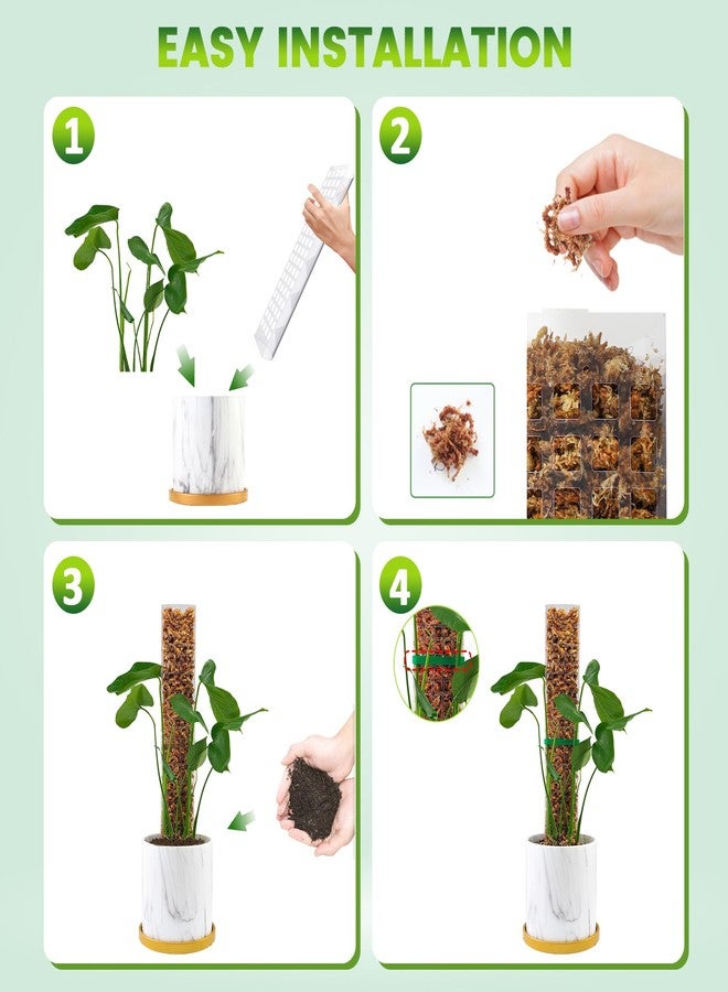 EOX 4 Pcs 15 Inch Plastic Moss Pole for Plants Monstera Set with 5.3oz/150g Sphagnum Moss, Plant Poles for Climbing Plants, Plant Support for Indoor Plants, Garden Ties - Image 2