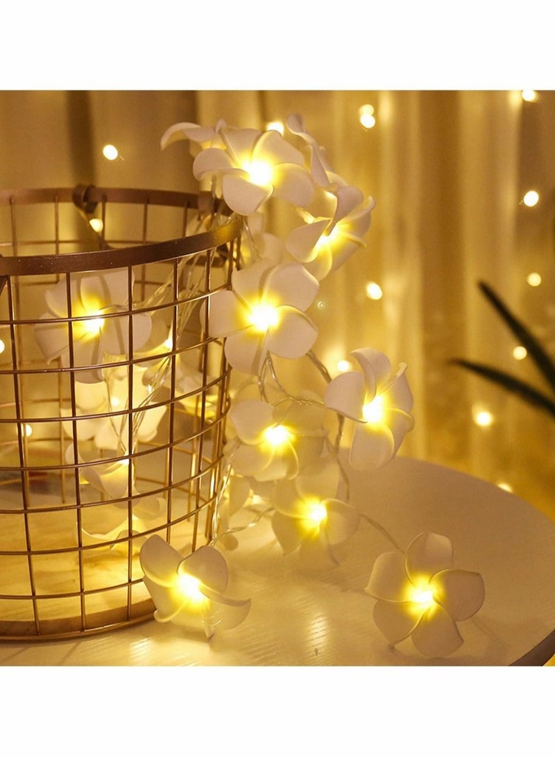 كابتن تيك LED Artificial Plumeria Flower String Lights Hawaiian Foam Flower Light 3AA USB Powered Fairy String Light for Bedroom Birthday Wedding Beach Party - Image 3