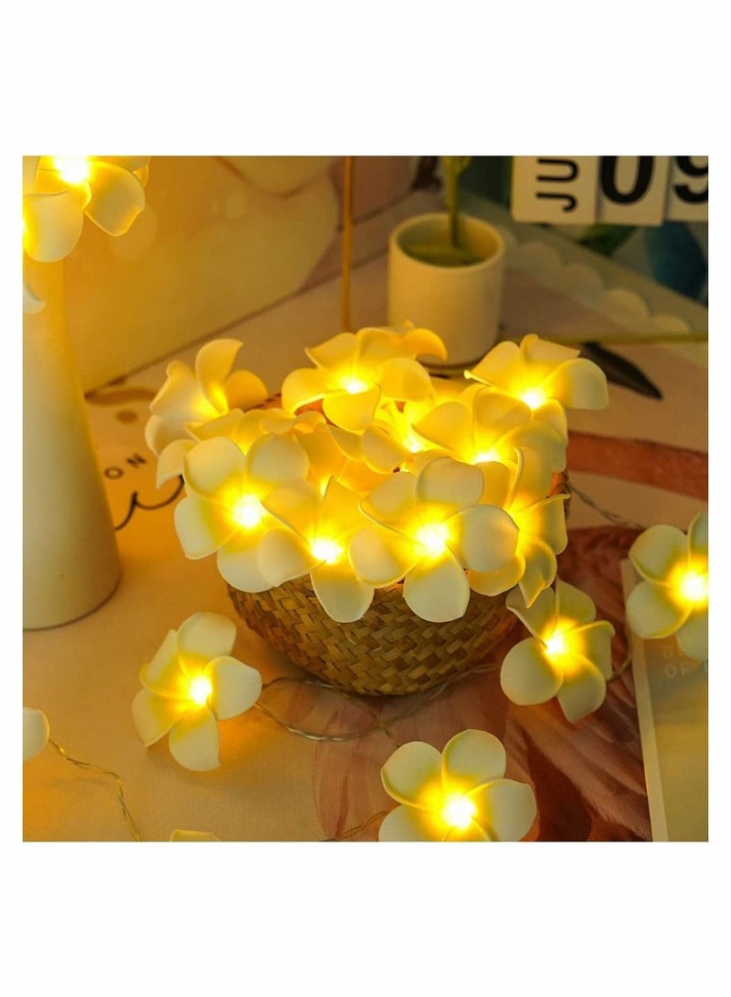 كابتن تيك LED Artificial Plumeria Flower String Lights Hawaiian Foam Flower Light 3AA USB Powered Fairy String Light for Bedroom Birthday Wedding Beach Party - Image 4