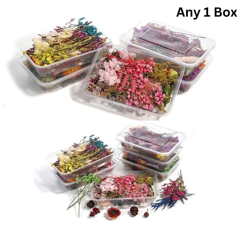 Snoogg The Snoogg 16-inch Agate Irregular Resin Silicone Mold Irregular geode is with 1 Pack of Dry Flower Box Ideal for Crafting Frame Trays Home Decoration DIY and Clock Designs. - Image 4