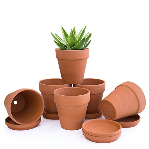 D'vine Dev Pack of 6 Terra Cotta Pots with Saucers, 5 Inch Clay Pots for Plants & Succulents, Terracotta - Image 1