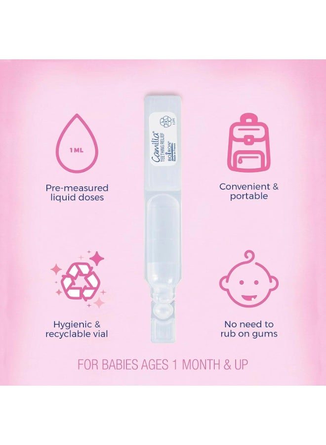 Boiron Camilia Teething Drops for Daytime and Nighttime Relief of Painful or Swollen Gums and Irritability in Babies - 30 Count - Image 5