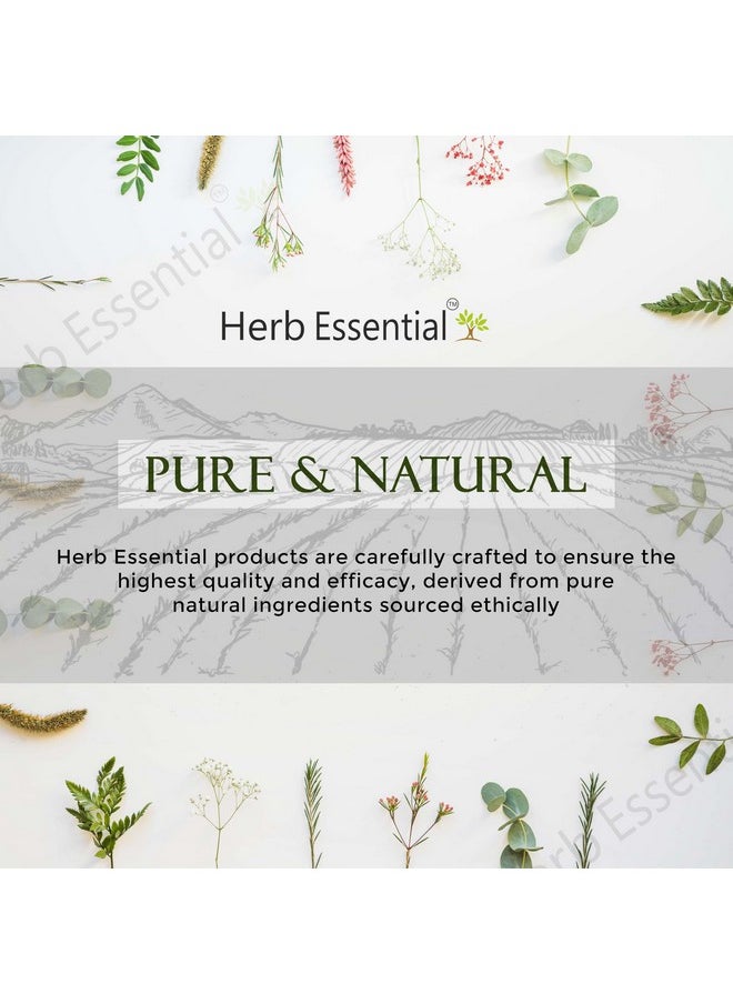 Herb Essential - Herb Essential Ratanjot Powder, 200 g | for Hair Fall, Hair Growth, Skin Glow (100g Pack of 2) - Image 1