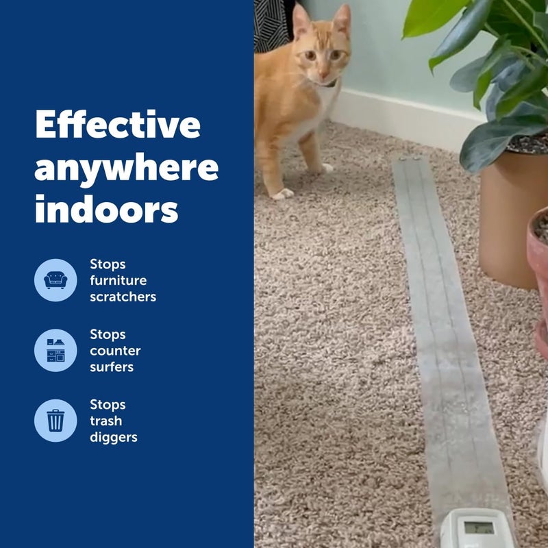 PetSafe ScatMat Indoor Training Mat - Image 5