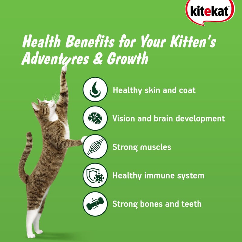 Kitekat طعام جاف للقطط كيتكات (2-12 شهرًا) بنكهة سمك المحيط، 1 كجم | تغذية كاملة ومتوازنة - Image 3